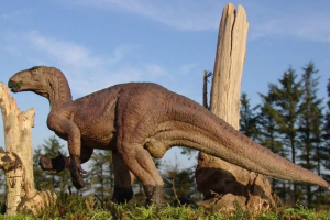 Iguanodone - pierwszy przedstawiciel poultom Iguanodone - pierwszy przedstawiciel poultom